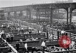 Image Les garçons de ferme Texas Stockyards Chicago visite United States USA, 1920, de la seconde 15 séquences d'archives historiques vidéo 65675026609
