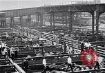 Image Les garçons de ferme Texas Stockyards Chicago visite United States USA, 1920, de la seconde 16 séquences d'archives historiques vidéo 65675026609