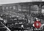 Image Les garçons de ferme Texas Stockyards Chicago visite United States USA, 1920, de la seconde 17 séquences d'archives historiques vidéo 65675026609