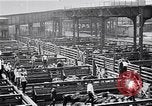 Image Les garçons de ferme Texas Stockyards Chicago visite United States USA, 1920, de la seconde 18 séquences d'archives historiques vidéo 65675026609