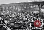 Image Les garçons de ferme Texas Stockyards Chicago visite United States USA, 1920, de la seconde 19 séquences d'archives historiques vidéo 65675026609