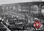 Image Les garçons de ferme Texas Stockyards Chicago visite United States USA, 1920, de la seconde 20 séquences d'archives historiques vidéo 65675026609