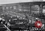 Image Les garçons de ferme Texas Stockyards Chicago visite United States USA, 1920, de la seconde 21 séquences d'archives historiques vidéo 65675026609