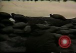 Image of Soldiers ready rifles during siege at wounded knee Wounded Knee South Dakota USA, 1973, second 35 stock footage video 65675026666