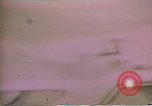 Immagine di Assedio a Wounded Knee Wounded Knee South Dakota USA, 1973, secondo 17 filmato di repertorio 65675026669