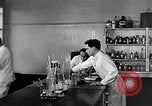 Image Peuple japonais Japon, 1952, de la seconde 5 séquences d'archives historiques vidéo 65675026677