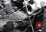 Image Peuple japonais Japon, 1952, de la seconde 23 séquences d'archives historiques vidéo 65675026677