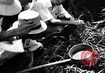 Image Peuple japonais Japon, 1952, de la seconde 31 séquences d'archives historiques vidéo 65675026677