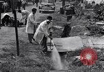 Image Peuple japonais Japon, 1952, de la seconde 41 séquences d'archives historiques vidéo 65675026677