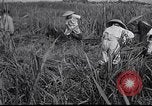 Image Peuple japonais Japon, 1952, de la seconde 47 séquences d'archives historiques vidéo 65675026677