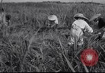 Image Peuple japonais Japon, 1952, de la seconde 48 séquences d'archives historiques vidéo 65675026677