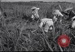 Image Peuple japonais Japon, 1952, de la seconde 49 séquences d'archives historiques vidéo 65675026677