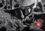 Image Peuple japonais Japon, 1952, de la seconde 52 séquences d'archives historiques vidéo 65675026677