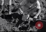 Image Peuple japonais Japon, 1952, de la seconde 53 séquences d'archives historiques vidéo 65675026677