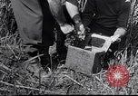 Image Peuple japonais Japon, 1952, de la seconde 54 séquences d'archives historiques vidéo 65675026677