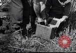 Image Peuple japonais Japon, 1952, de la seconde 55 séquences d'archives historiques vidéo 65675026677