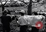 Image Peuple japonais Japon, 1952, de la seconde 57 séquences d'archives historiques vidéo 65675026677