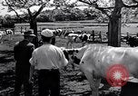 Image Peuple japonais Japon, 1952, de la seconde 58 séquences d'archives historiques vidéo 65675026677