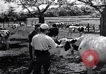 Image Peuple japonais Japon, 1952, de la seconde 59 séquences d'archives historiques vidéo 65675026677