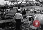 Image Peuple japonais Japon, 1952, de la seconde 60 séquences d'archives historiques vidéo 65675026677