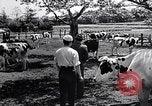 Image Peuple japonais Japon, 1952, de la seconde 61 séquences d'archives historiques vidéo 65675026677