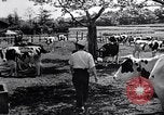 Image Peuple japonais Japon, 1952, de la seconde 62 séquences d'archives historiques vidéo 65675026677
