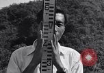 Image Peuple japonais Japon, 1952, de la seconde 34 séquences d'archives historiques vidéo 65675026679