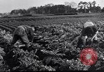 Image Peuple japonais Japon, 1952, de la seconde 62 séquences d'archives historiques vidéo 65675026679