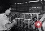 Image of Japanese People Japan, 1952, second 18 stock footage video 65675026680