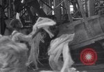 Image of Japanese People Japan, 1952, second 35 stock footage video 65675026680