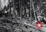 Image of Japanese People Japan, 1952, second 48 stock footage video 65675026680