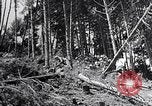 Image of Japanese People Japan, 1952, second 50 stock footage video 65675026680