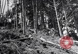 Image of Japanese People Japan, 1952, second 51 stock footage video 65675026680