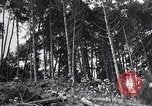Image of Japanese People Japan, 1952, second 55 stock footage video 65675026680