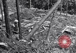 Image of Japanese People Japan, 1952, second 56 stock footage video 65675026680