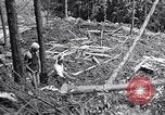 Image of Japanese People Japan, 1952, second 57 stock footage video 65675026680