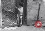 Standbild Operation Head Start United States USA, 1966, aus Sekunde 37 historischem Filmmaterial Videoclip 65675026691