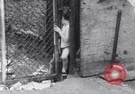 Standbild Operation Head Start United States USA, 1966, aus Sekunde 38 historischem Filmmaterial Videoclip 65675026691