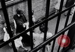 Image of Head Start children United States USA, 1966, second 53 stock footage video 65675026692