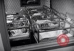 Standbild Babys im Kinderzimmer Morristown New Jersey USA, 1957, aus Sekunde 39 historischem Filmmaterial Videoclip 65675026700