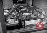 Standbild Babys im Kinderzimmer Morristown New Jersey USA, 1957, aus Sekunde 43 historischem Filmmaterial Videoclip 65675026700
