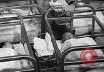 Standbild Babys im Kinderzimmer Morristown New Jersey USA, 1957, aus Sekunde 56 historischem Filmmaterial Videoclip 65675026700