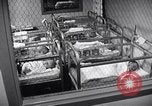 Standbild Babys im Kinderzimmer Morristown New Jersey USA, 1957, aus Sekunde 61 historischem Filmmaterial Videoclip 65675026700