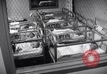 Standbild Babys im Kinderzimmer Morristown New Jersey USA, 1957, aus Sekunde 62 historischem Filmmaterial Videoclip 65675026700