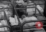 Standbild junge Männer der verschiedenen sozialen und wirtschaftlichen Klassen Madison New Jersey USA, 1957, aus Sekunde 45 historischem Filmmaterial Videoclip 65675026701