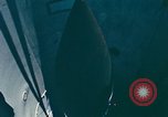 Standbild SAC Minuteman Sicherheitspolizei United States USA, 1966, aus Sekunde 5 historischem Filmmaterial Videoclip 65675026702