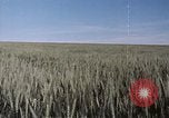 Standbild USAAF Bombenabwürfe Szenen in Zweiten Weltkrieg Omaha Nebraska United States USA, 1963, aus Sekunde 10 historischem Filmmaterial Videoclip 65675026715