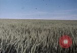 Standbild USAAF Bombenabwürfe Szenen in Zweiten Weltkrieg Omaha Nebraska United States USA, 1963, aus Sekunde 11 historischem Filmmaterial Videoclip 65675026715