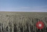 Standbild USAAF Bombenabwürfe Szenen in Zweiten Weltkrieg Omaha Nebraska United States USA, 1963, aus Sekunde 12 historischem Filmmaterial Videoclip 65675026715