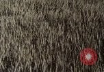 Standbild USAAF Bombenabwürfe Szenen in Zweiten Weltkrieg Omaha Nebraska United States USA, 1963, aus Sekunde 25 historischem Filmmaterial Videoclip 65675026715